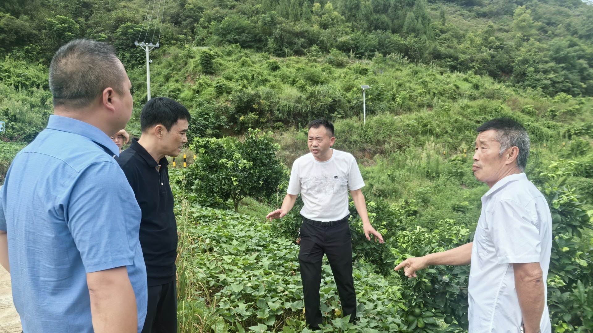 微信图片_20240801111343_副本.jpg